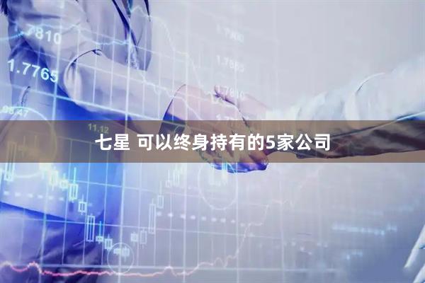 七星 可以终身持有的5家公司